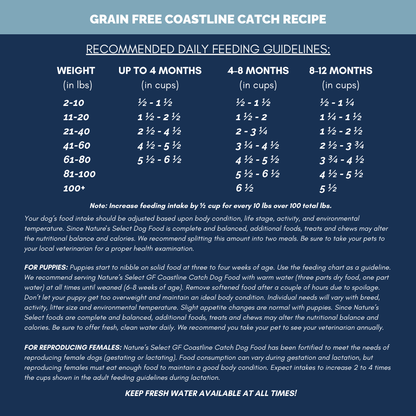 Nature's Select Coastline Catch Recipe - Grain Free Fish, Dry Dog Food for Adults