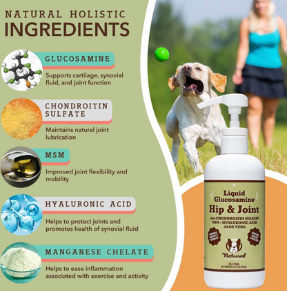 Hip & Joint Liquid Glucosamine - 16 oz Nature's Select Pet Food Hip & Joint Liquid Glucosamine - 16 oz Nature's Select Pet Food