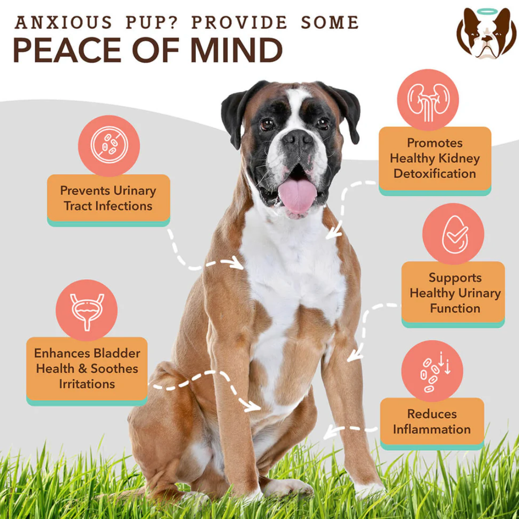 Urinary & Bladder Supplement for Dogs (90 chews)