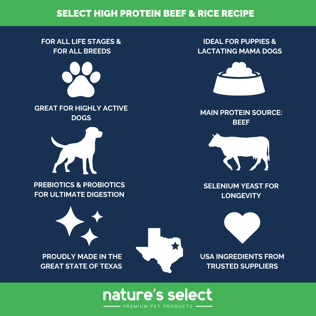 Nature's Select High Protein Recipe - Beef & Rice, Dry Dog Food for All Life Stages
