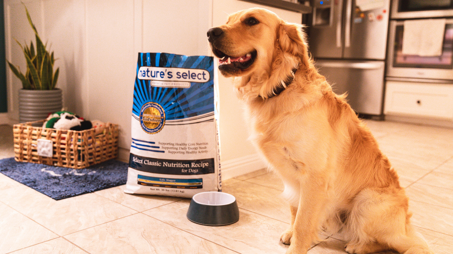 Live pet sales food near me