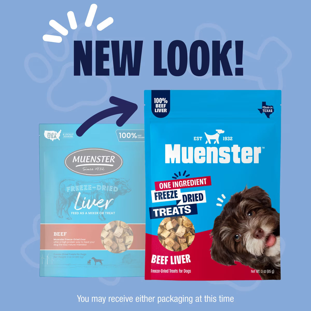 Freeze Dried Beef Liver Treats