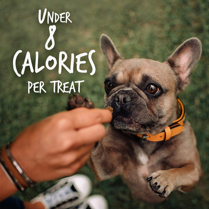 Sweet Potato Pecan Crunchy Dog Treats