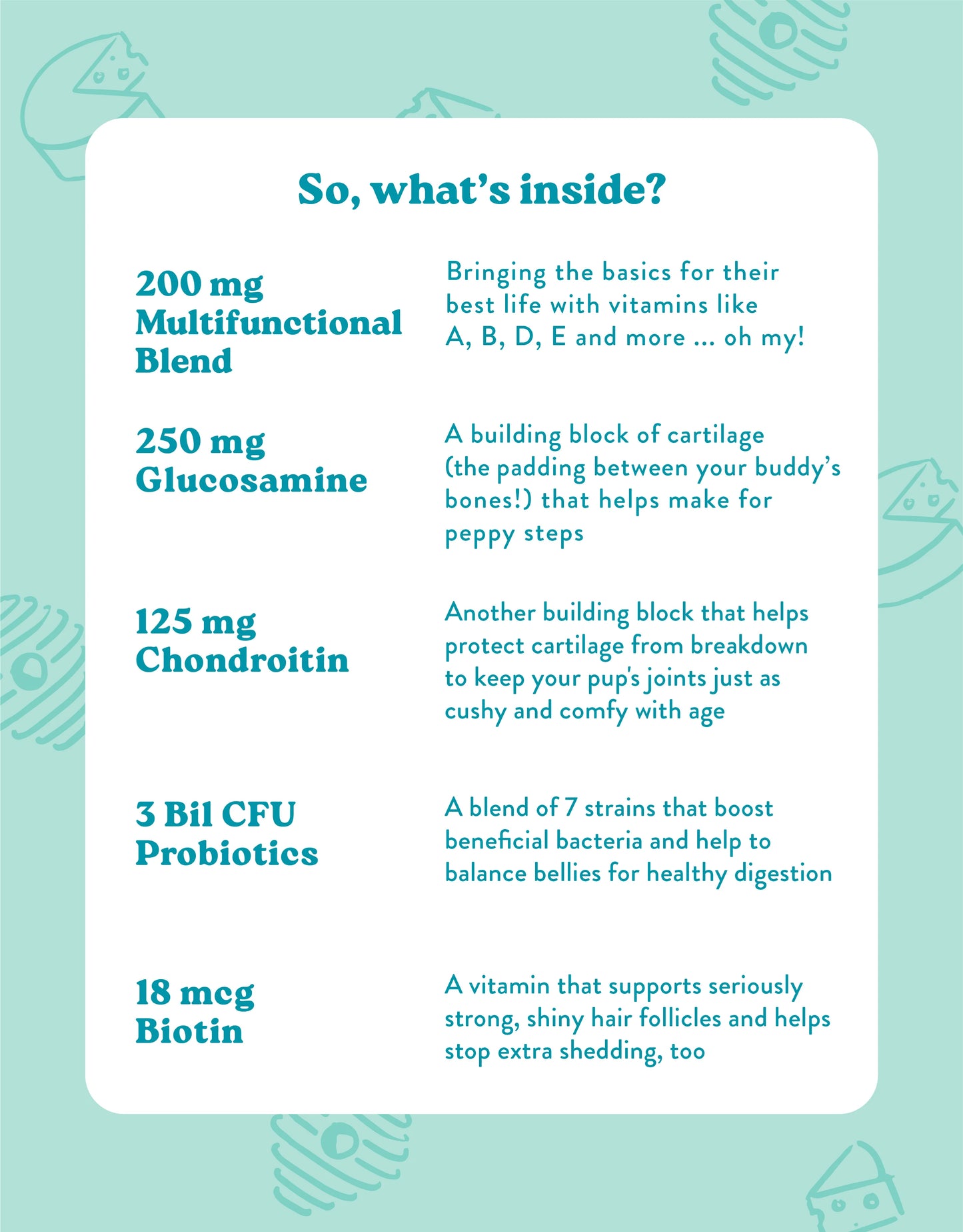 Multivitamin Supplement for Dogs